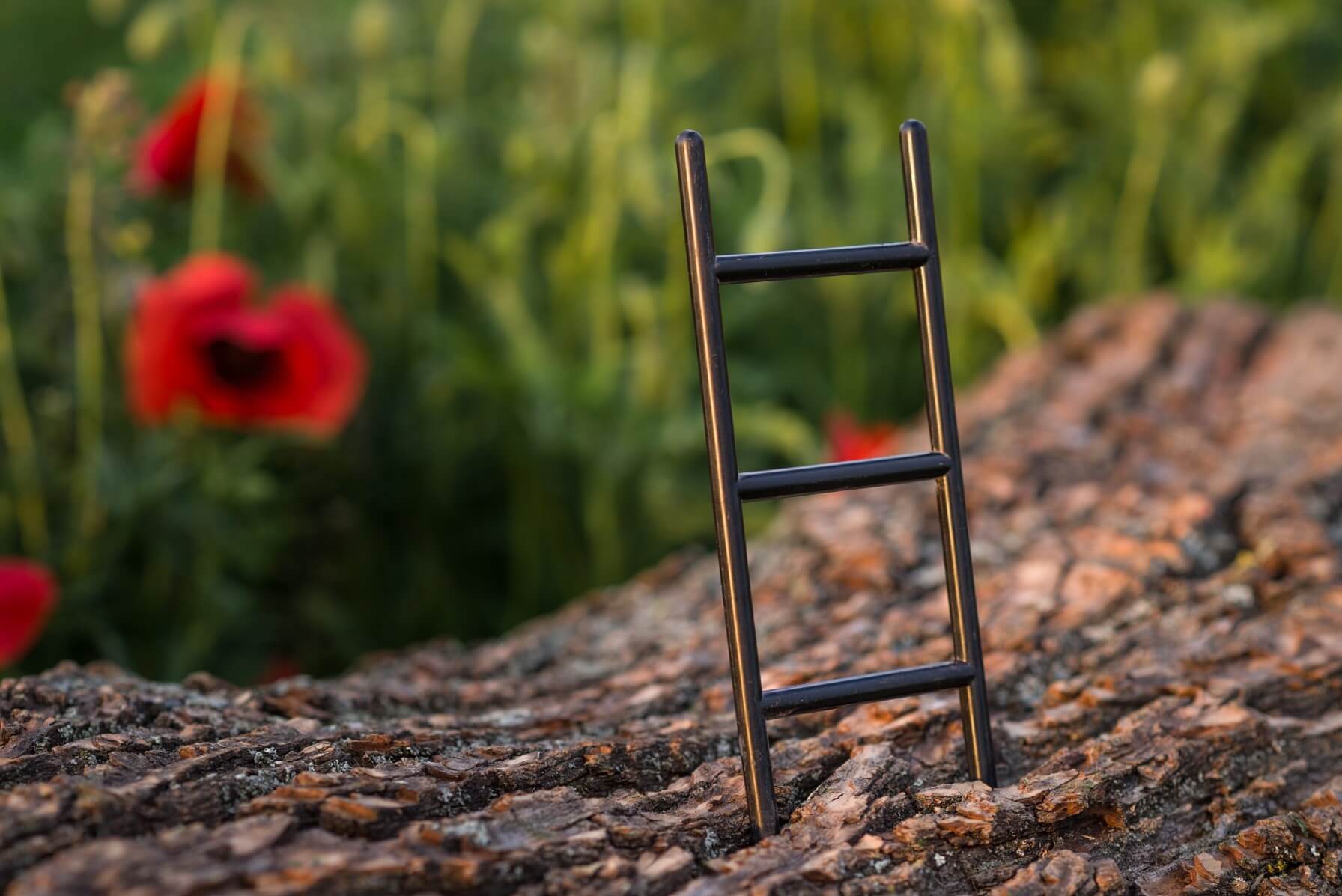 Mágnes Horgászat Kötéllétra